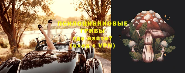 стафф Богородицк