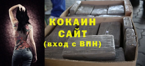 МДПВ Бородино