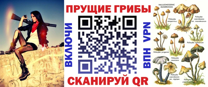 Купить  Михайловка  Псилоцибиновые грибы Psilocybe 
